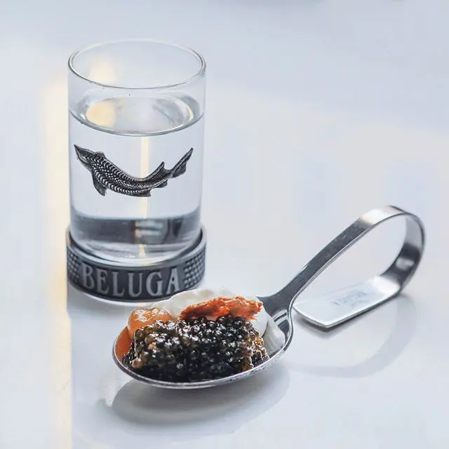 Vodka-caviar