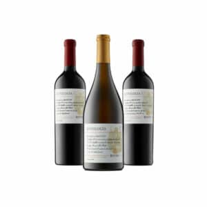 Rutini-Antologia wine bundle