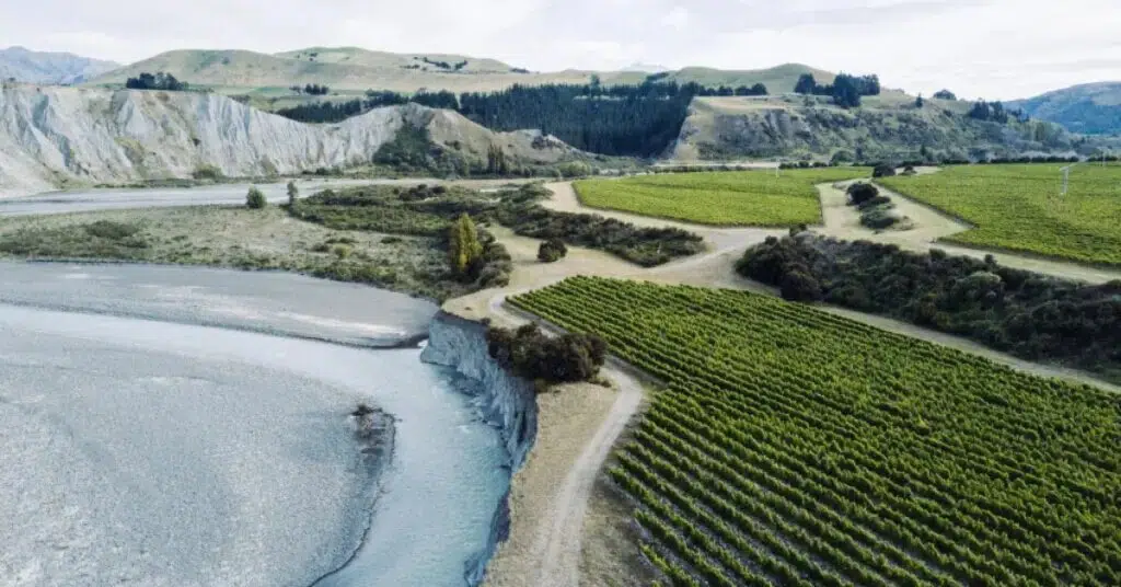 Marlborough, New Zealand, famous for its sauvignon blanc wines