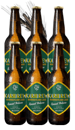 new new beer banner