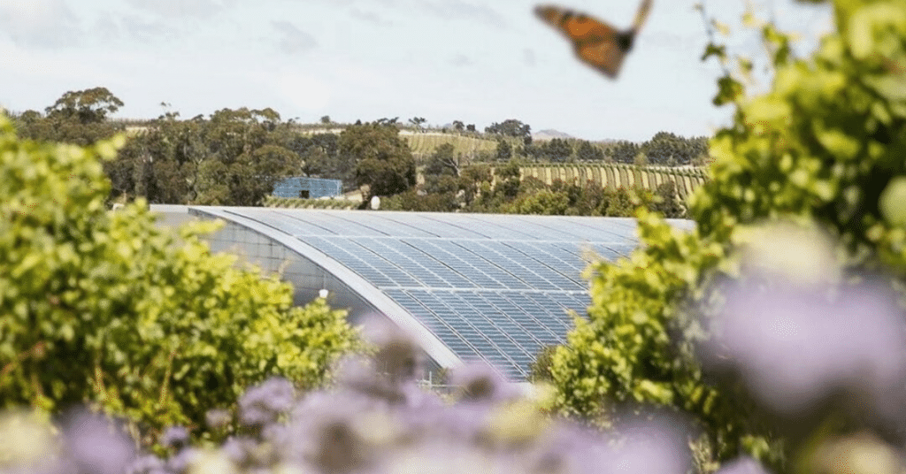 Eco-Friendly Yealands Winery with Solar Panels and Surrounded by Vines