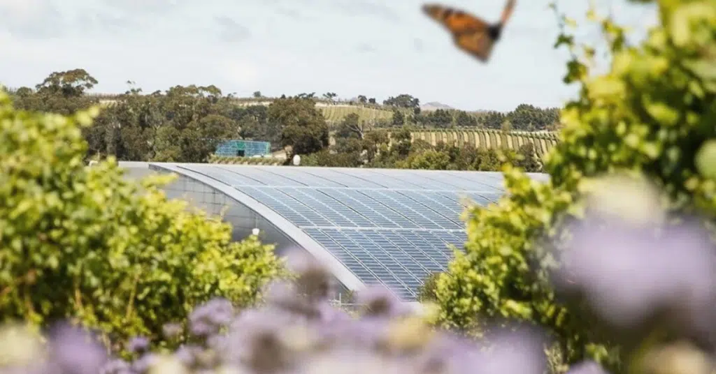 Eco-Friendly Yealands Winery with Solar Panels and Surrounded by Vines