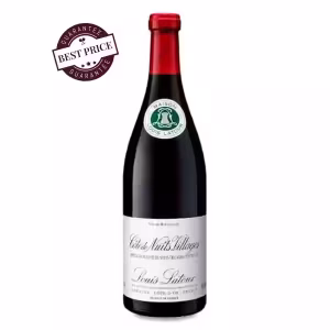 Louis Latour Côte de Nuits-Villages red wine 75cl bottle