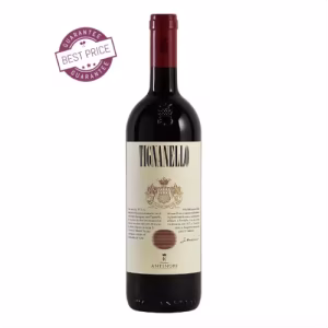Tignanello Toscana 2022 – Super Tuscan red with dark cherry, graphite and structured finish.