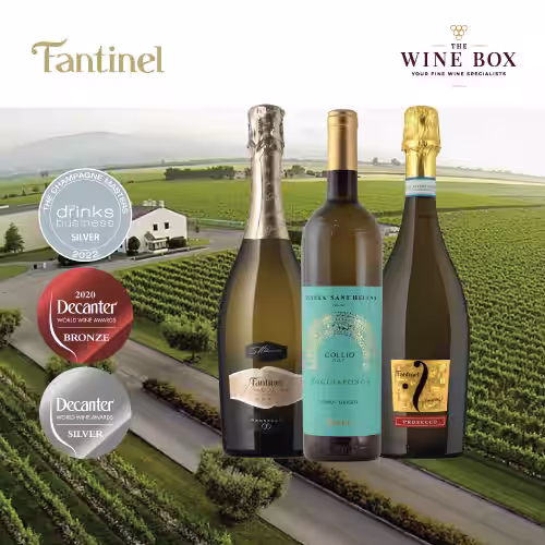 https://thewinebox.biz/wp-content/uploads/2026/06/Fantinel-5.avif